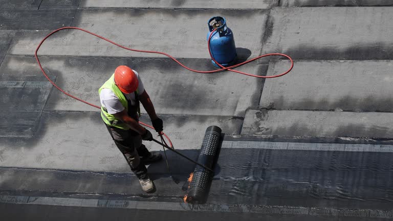 Best Basement Insulation  in Roundup, MT